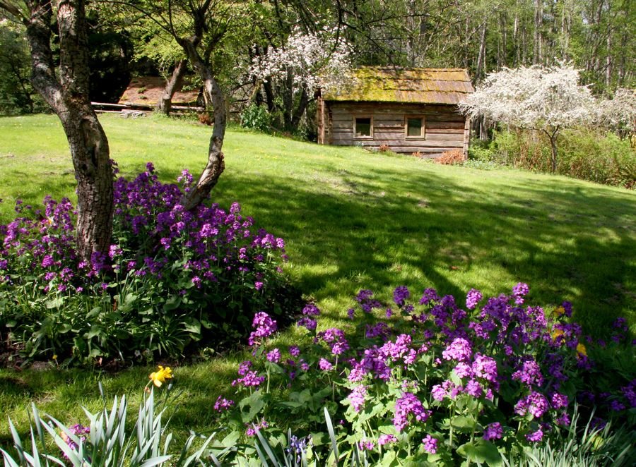 Send 20 Girls to a Literacy & Leadership Camp!