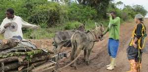 Uplift 240 poor South Africans relying on donkeys