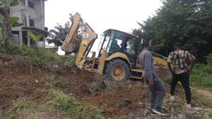 Setting up a vegetable garden