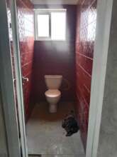 Our brand new toilets 3