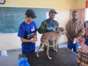 Medical checks before surgery