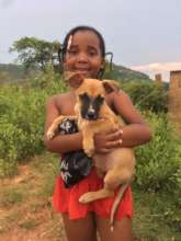 New puppy from SAWS