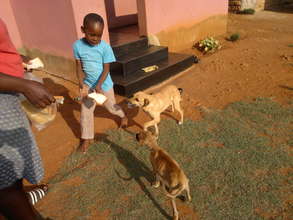 Spade dog & not spade dog - from same homestead