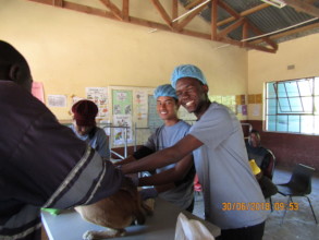 Assisting the vets