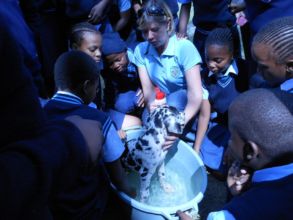 Every one helping to wash