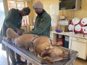 Dr Kunene's operating room