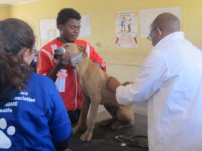 Medical checks before surgery
