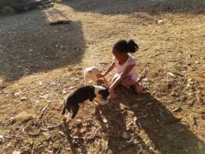 Khosi, with Chaco and Rocky