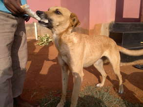 After treatment - thanks to your donations!
