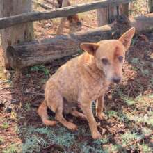 Encouraging owners to sign up for services