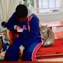 Griffin the school cat doing her thing