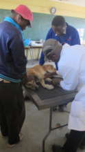 Medical checks before surgery