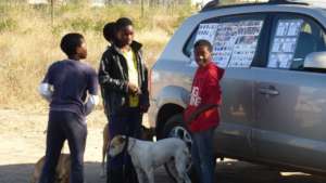 Advertising SWAS animals for adoption