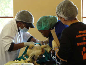 Surgery in the classroom