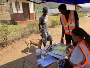 Tagging - to ensure animal is matched with owner