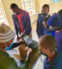 Medical check ups