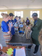 Medical checks before surgery