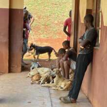 Waiting so Vets can explain well to each person