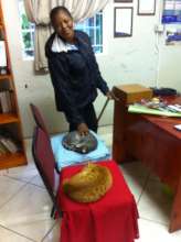 Cats rule the office
