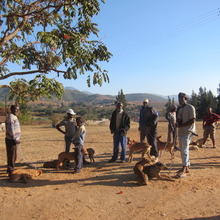 Community members waiting their turn