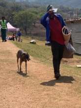 Discharge - these tough dogs walk home!