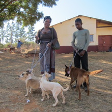 Gladys her son & Hippo, Takkies, Vutha and Peaches
