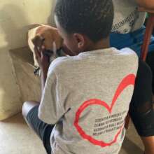 Integrating animal care during training - always!