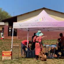 Registration forms and service numbers