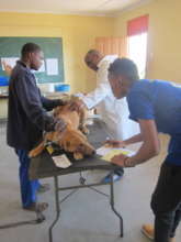 Medical check before surgery
