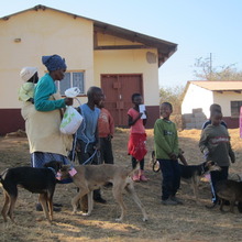 Thembi bringing her dogs to after care