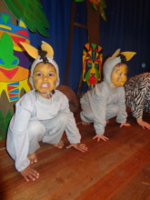 School Concert 2015