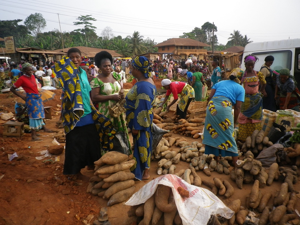 Families of local workers selling the harvest