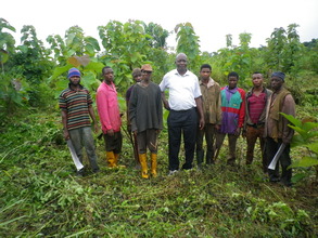 Weeding of the 2011 and 2011 plantation