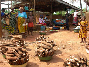 Food Production - Agroforesty