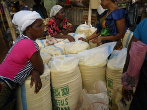 process cassava  afro forestry