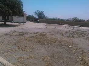 Mbanga Planting