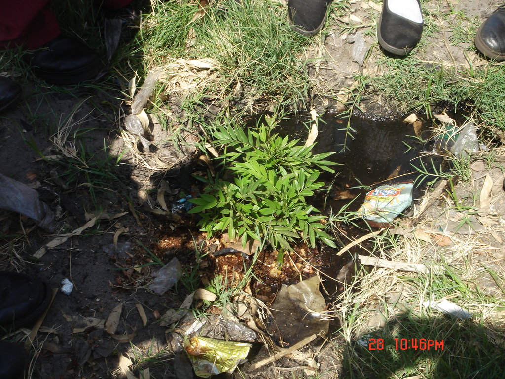 Educate Young People about the Environment