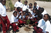 Educate Young People about the Environment