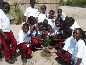 Educate Young People about the Environment