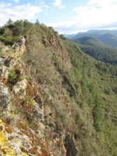 Jaguar Mountain, Oaxaca, Mexico
