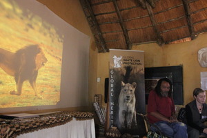 Presentation about the state of the Kalahari lion