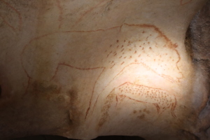 Snow leopard image in Chauvet