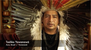 Jaguar Elder, Tashka Yawanawa