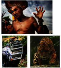 Jaguar work