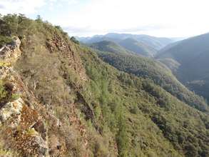 Jaguar Mountain