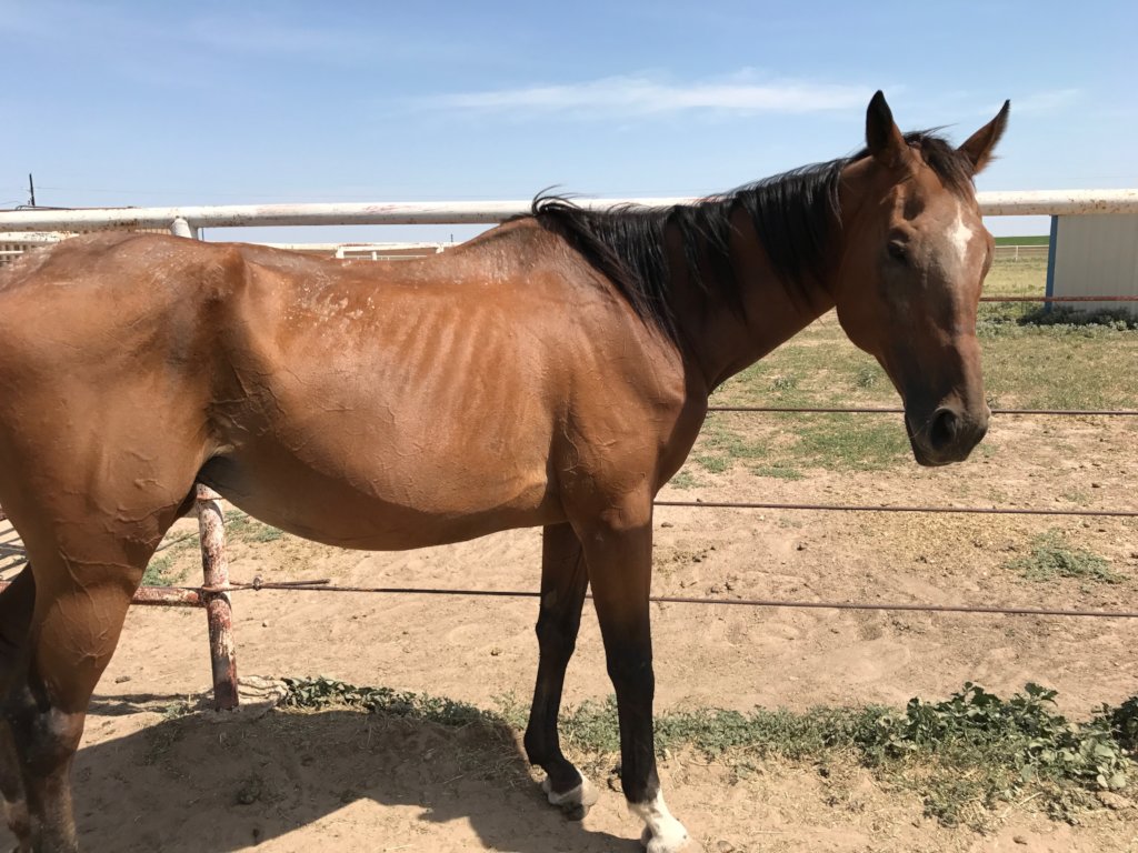 Looking better just after 2 months
