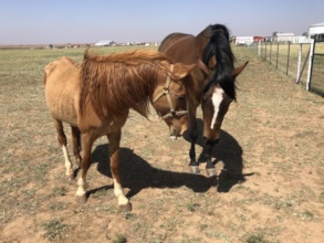 Getting to know his new friend Magi