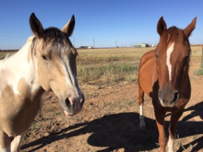 Justin and Jeremiah-now both in happy homes