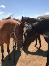 Meeting his new friends