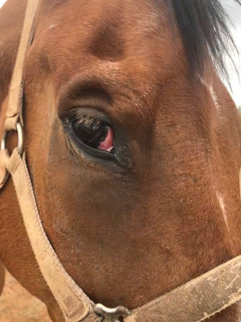 Limited eyesight in damaged eye